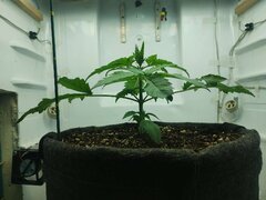 IMG_20250922_081843.jpg
