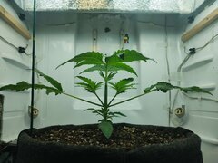 IMG_20250923_195753.jpg