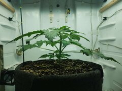 IMG_20250925_080348.jpg