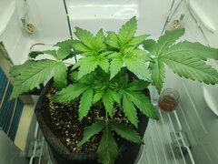 IMG_20250926_202206.jpg