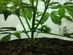 IMG_20250928_194915.jpg