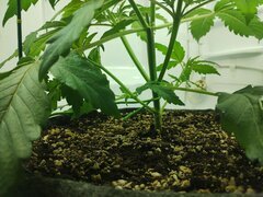 IMG_20250928_222848