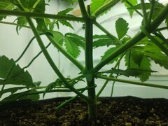 IMG_20250930_213253.jpg