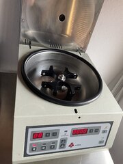 IMG_4886.jpeg