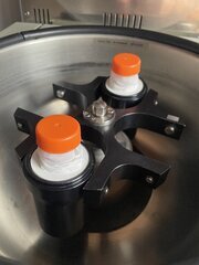 IMG_4892.jpeg