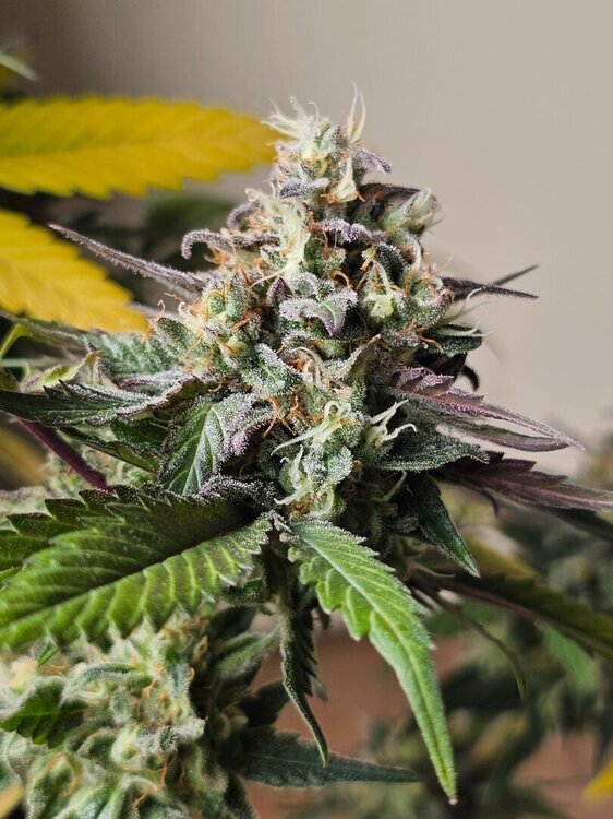 20251028_175758.jpg