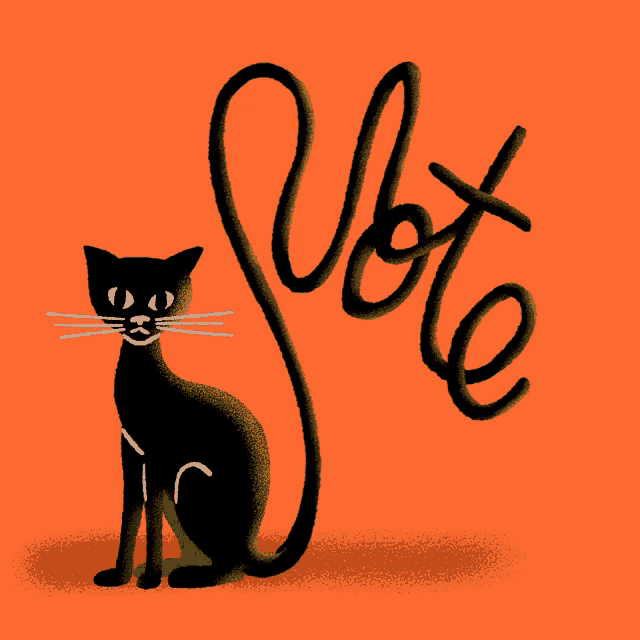 VOTE with a black cat.gif