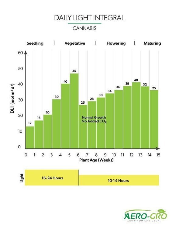 DLI-Chart.jpg