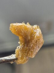 20250916_190615.jpg