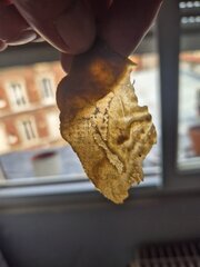 20250929_132813.jpg