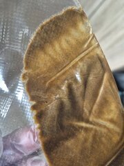 20250929_133352.jpg