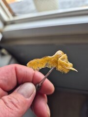 20250929_154521.jpg