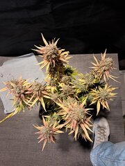 76ed32de-b3e2-42a2-a499-c84b648a4ba5.jpg