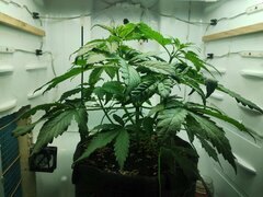 IMG_20251002_082256.jpg
