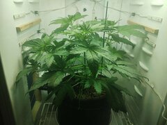IMG_20251005_005829.jpg