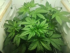 IMG_20251005_005834.jpg