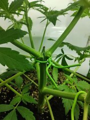IMG_20251005_190223.jpg