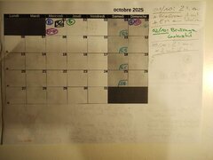 IMG_20251006_091337.jpg