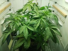 IMG_20251006_091605.jpg