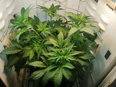 IMG_20251008_211715.jpg