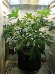 IMG_20251008_211804.jpg