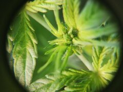 IMG_20251008_211850.jpg
