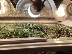 IMG_20251020_191008.jpg