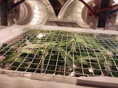 IMG_20251020_191015.jpg