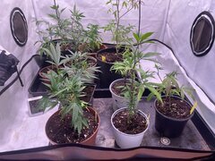 Nursery