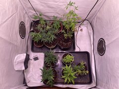 Nursery