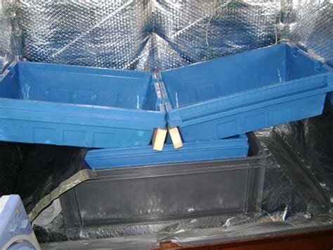 10b.jpg