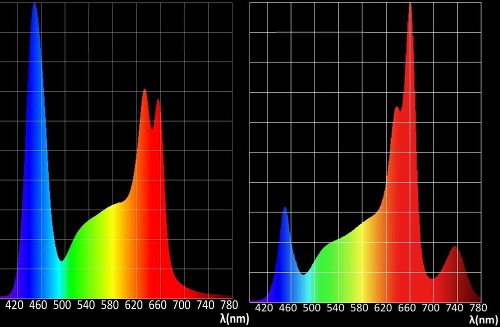 spectre Isled V5C et V6.1PF.jpg