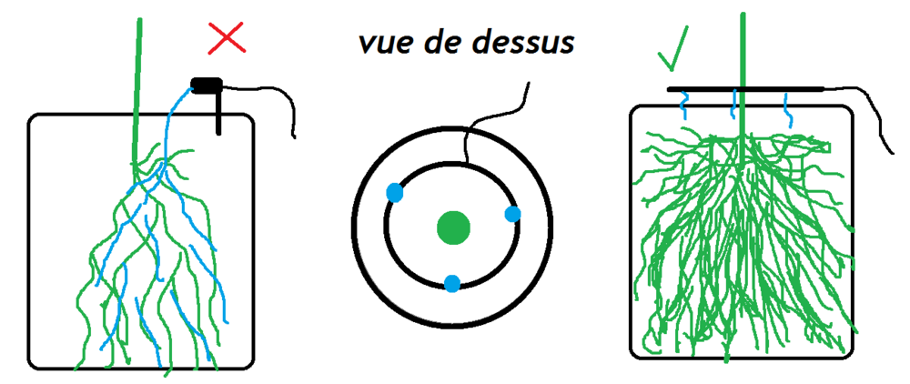 bille argile arrosage racines.png