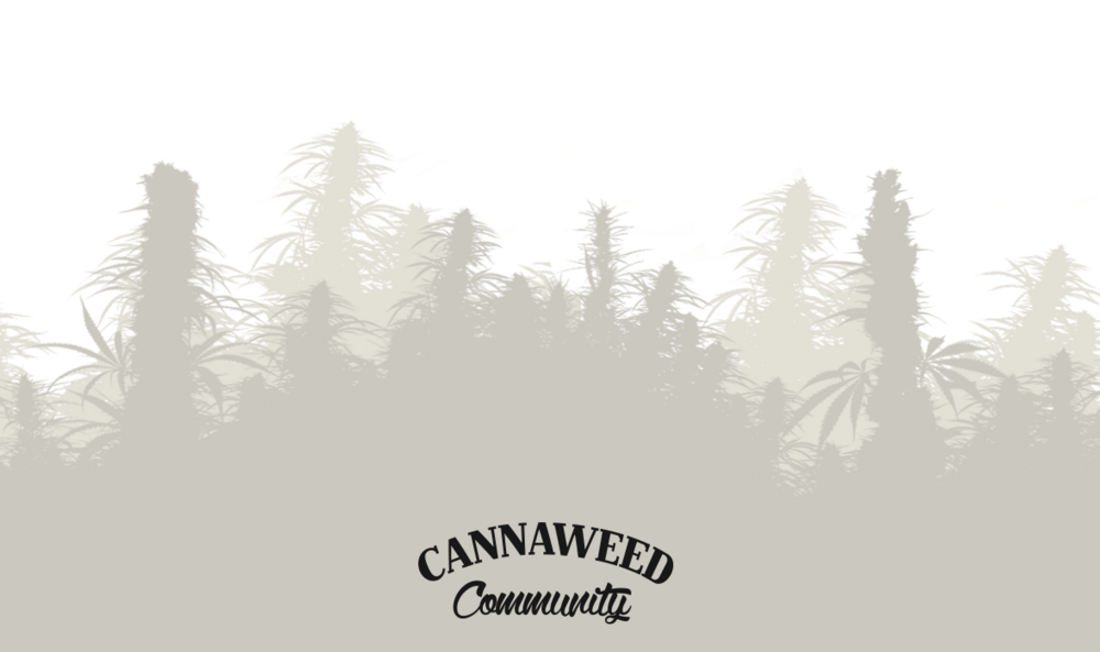 Cannaweed community.png