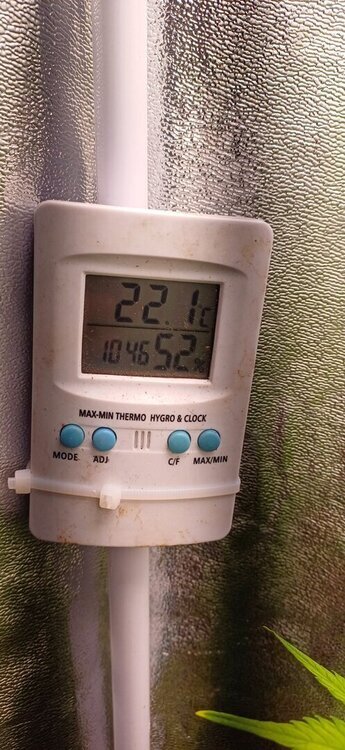 20251104_094142.jpg