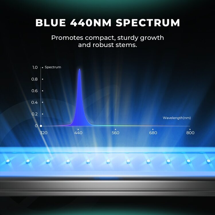 5-2025-new-adlite-supplement-led-Blue-440nm-Spectrum.thumb.jpg.d34d85e9071ef65ed9d67abf8f5375d1.jpg
