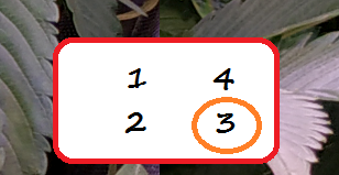 emplacements.png