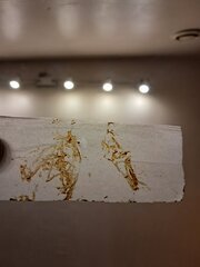 20251103_190937.jpg