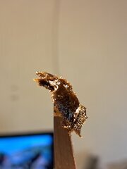 20251111_130437.jpg