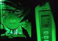 Les mesures de fin de nuit
