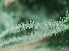 IMG_20251129_221206.jpg