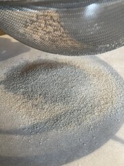 IMG_5517.jpeg