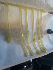 GMO 73-159u 🧄
