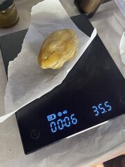Papaya BX1
