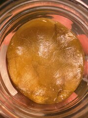 Papaya BX1