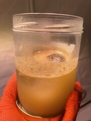 IMG_5739.jpeg