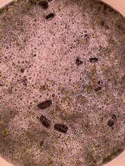IMG_5741.jpeg