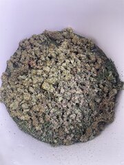 IMG_5743.jpeg