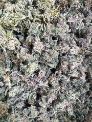 IMG_5744.jpeg