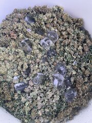 IMG_5745.jpeg